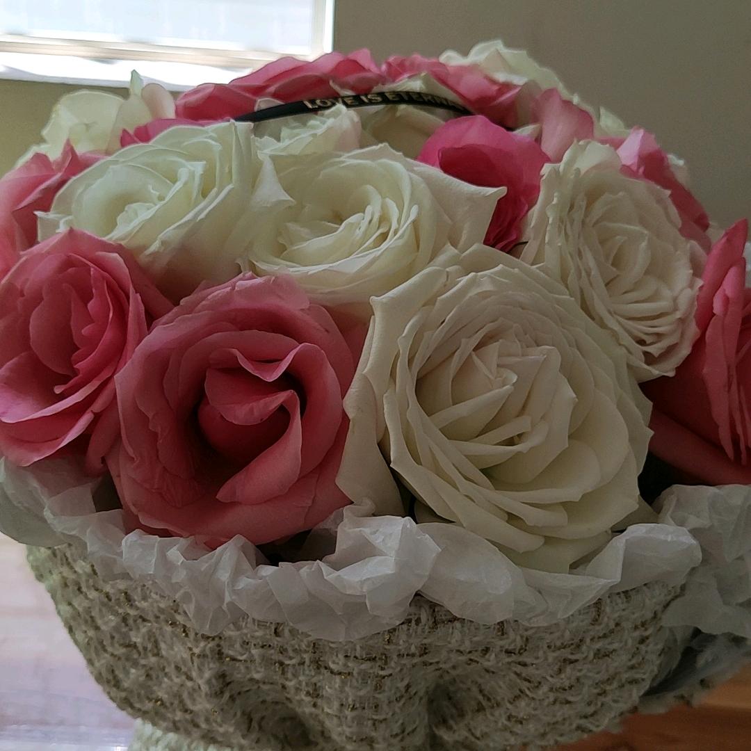 东天的太阳☀️