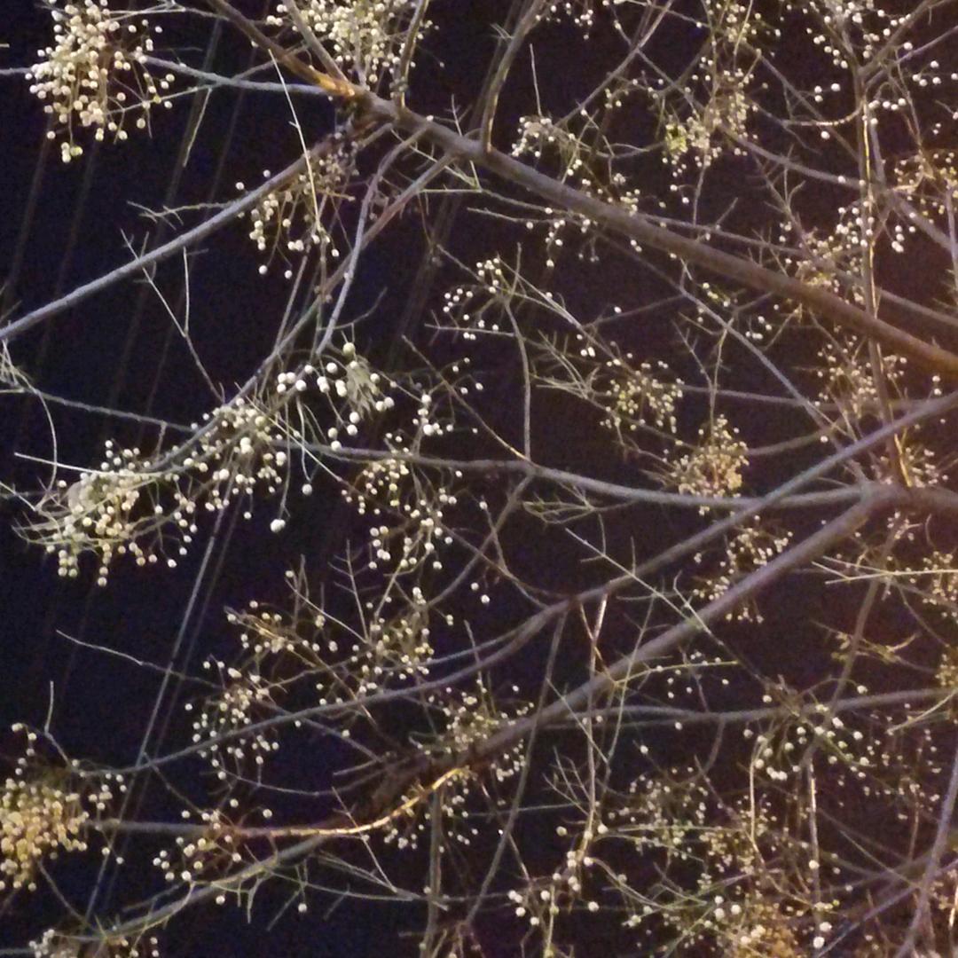 周口航运中等专业学校-赵老师