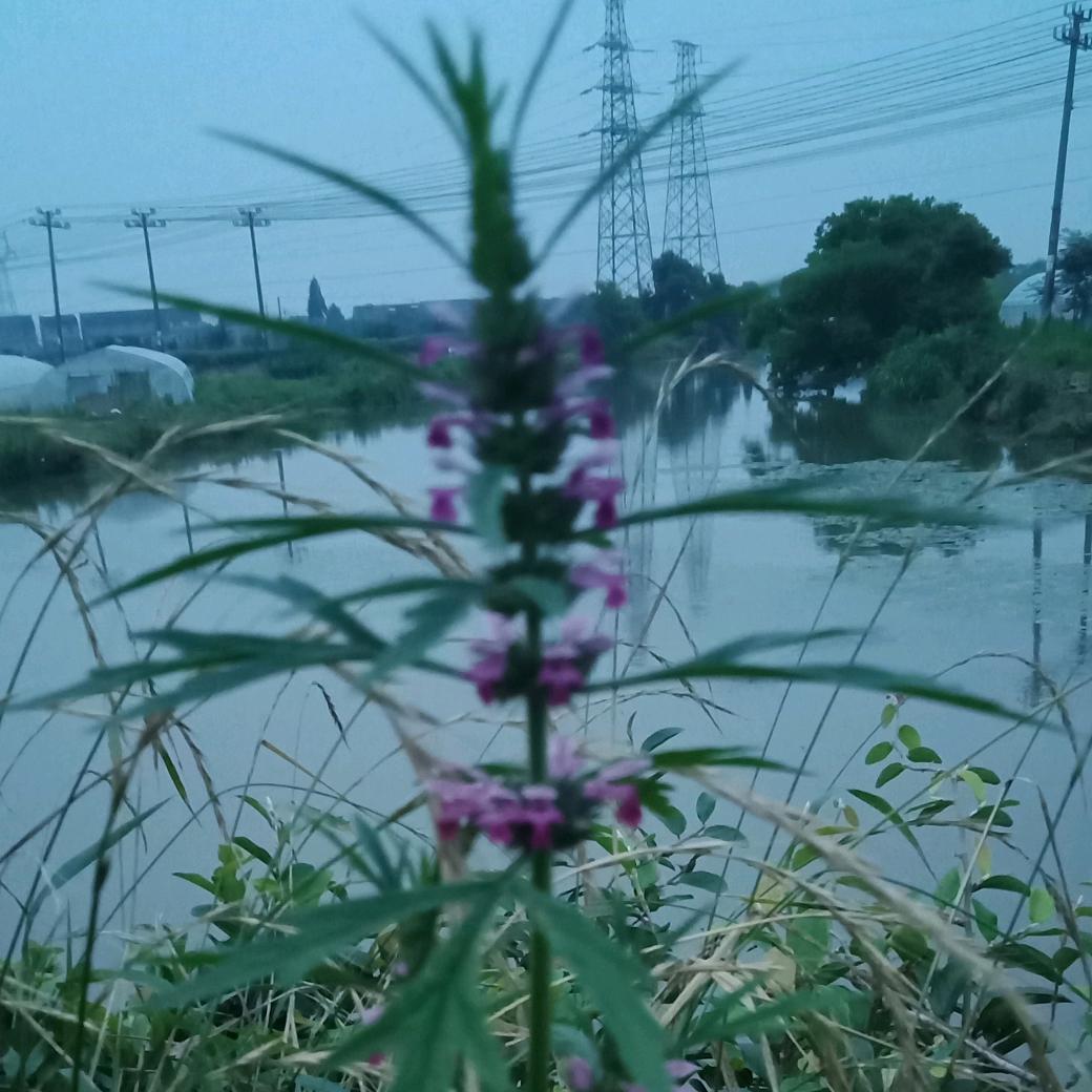 人身随缘
