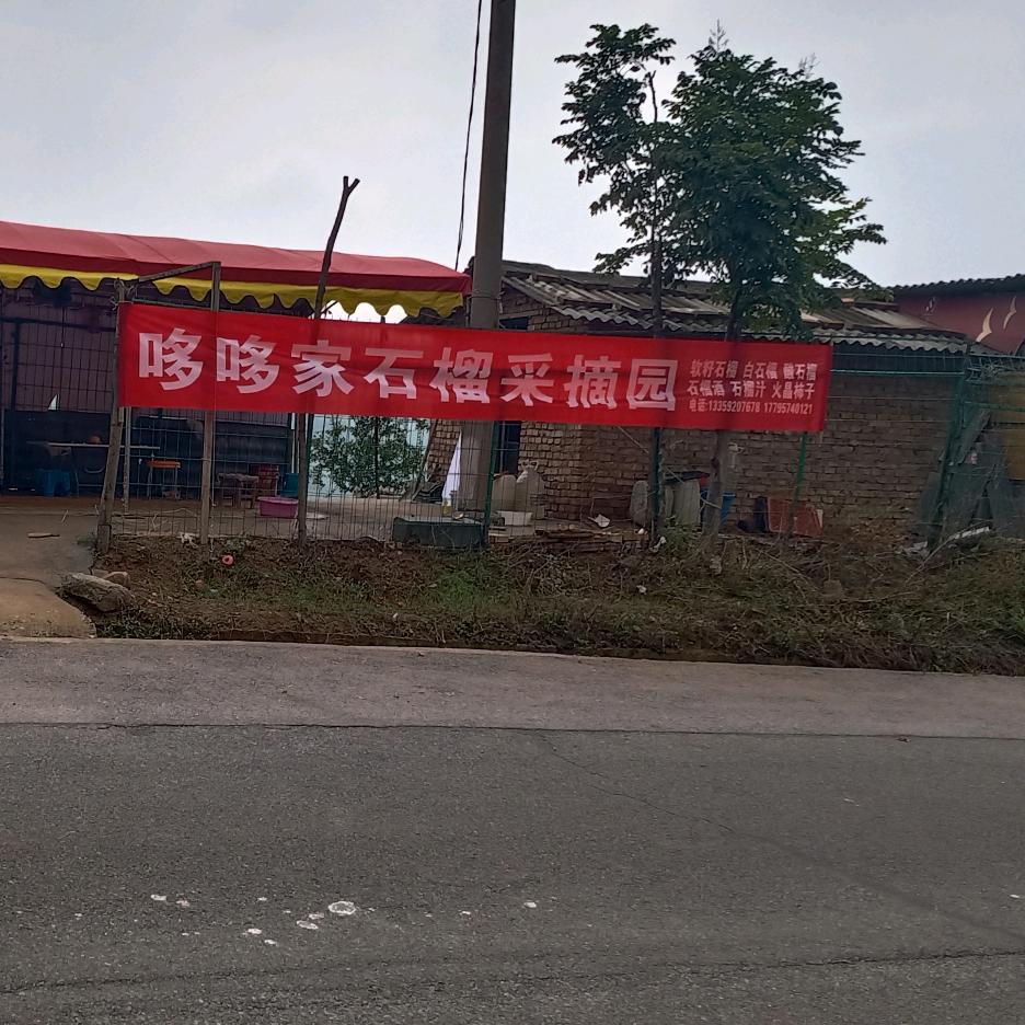 临潼骊山石榴小杨