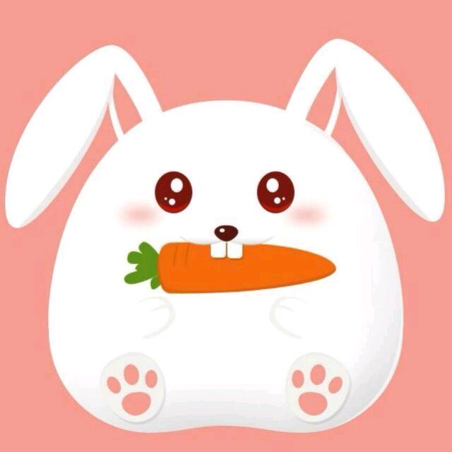 辻弌（十一）