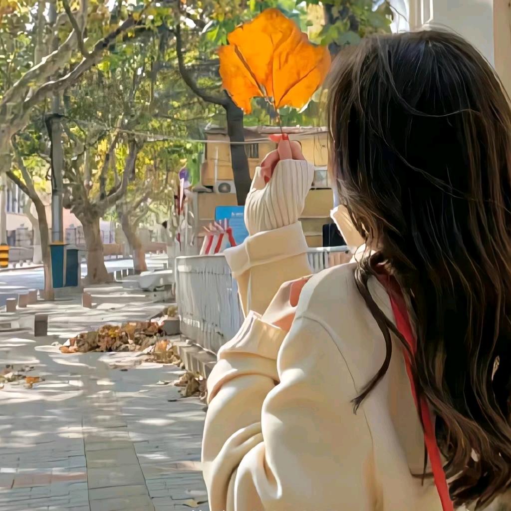 有李说不清🧶