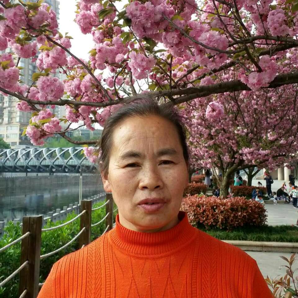 杨大姐