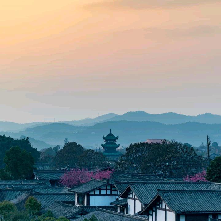 用户程默