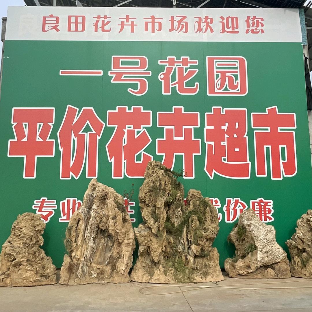 一号花园养花分享