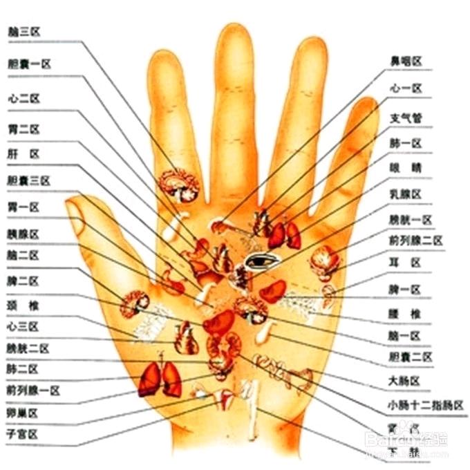 丛林狼991