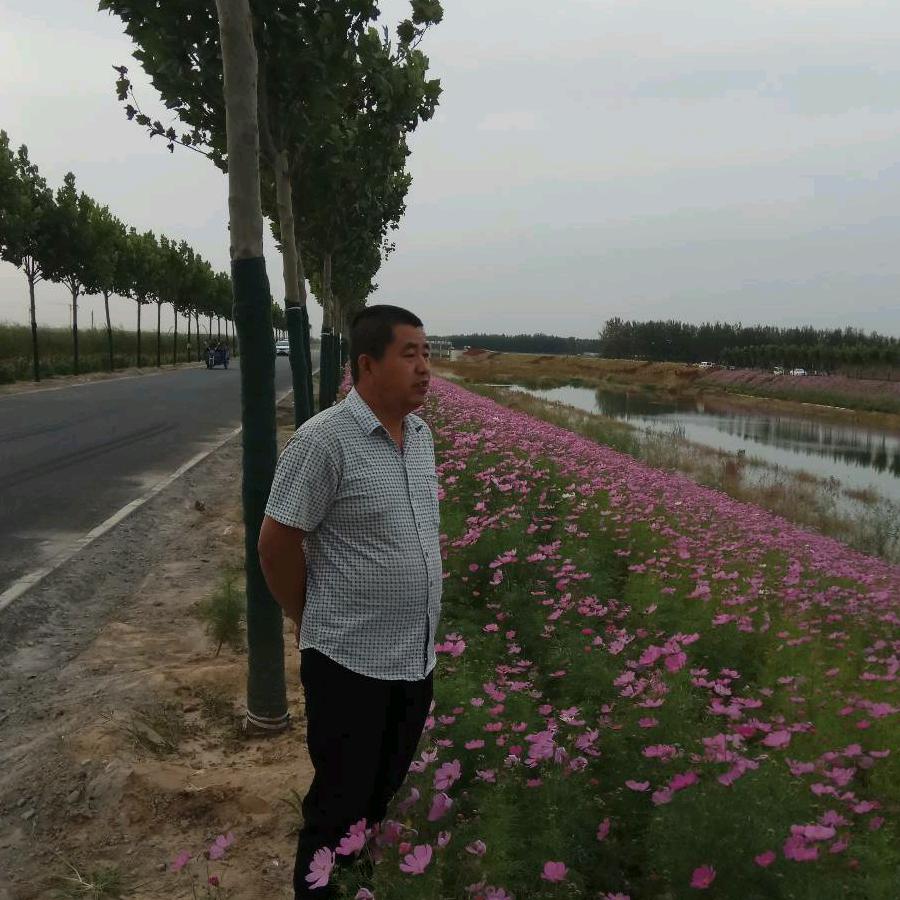福星高照