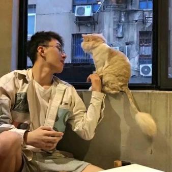 大怪的生活日记