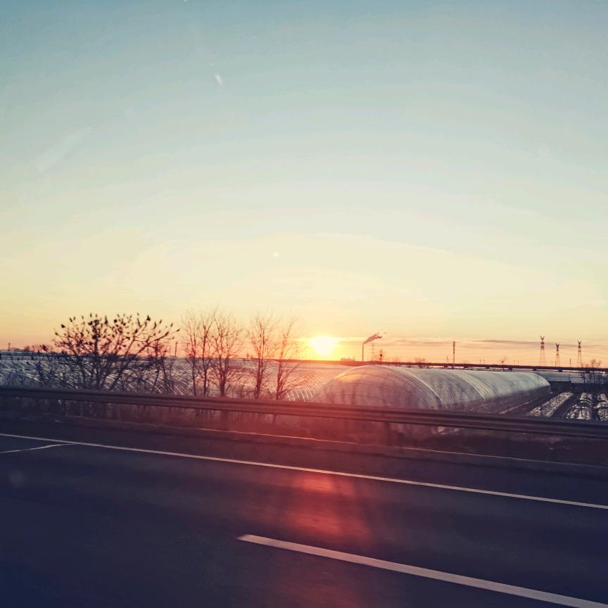 起名真的困难呐