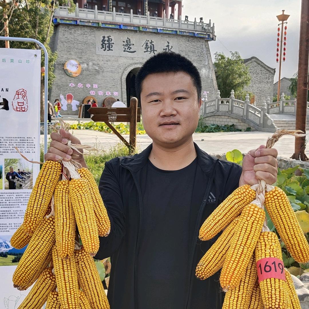 先锋玉米哥 gaolo