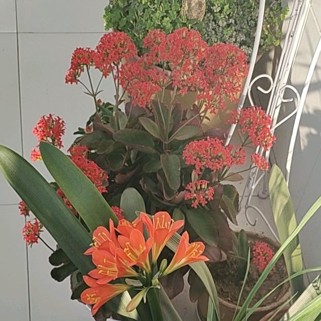 三分钟😄热度