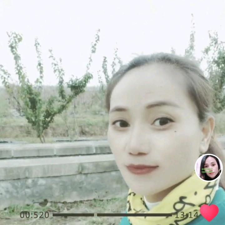 ✨琼