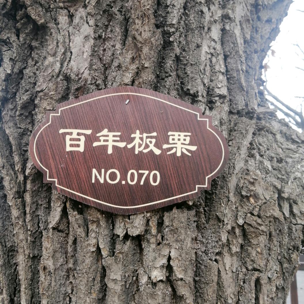 家庭装修