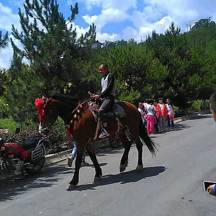 心随远行