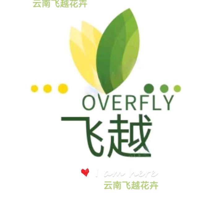 昆明飞越花卉基地直发