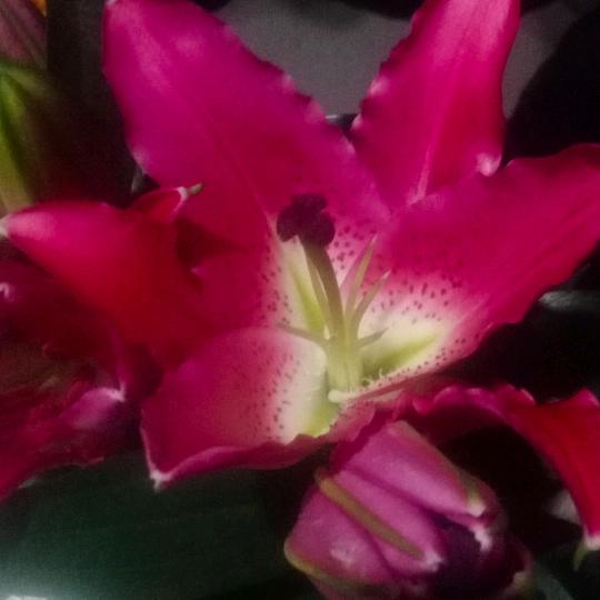 红泥湾小大孩童装折扣店已迁至小眼米线对面