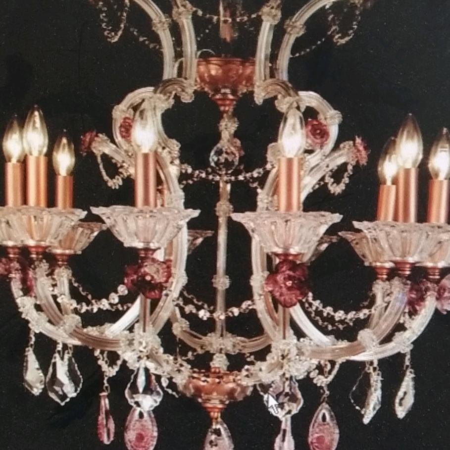 喝可乐的猫😺☕o(>ω<)o