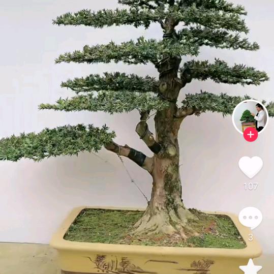 🐍你好，我好，大家都好。🐍