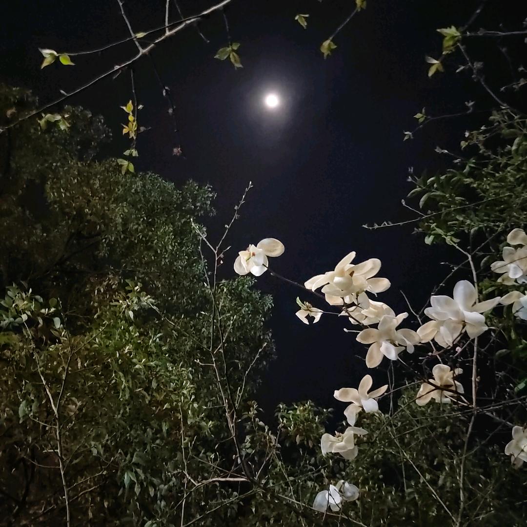 柴米油盐