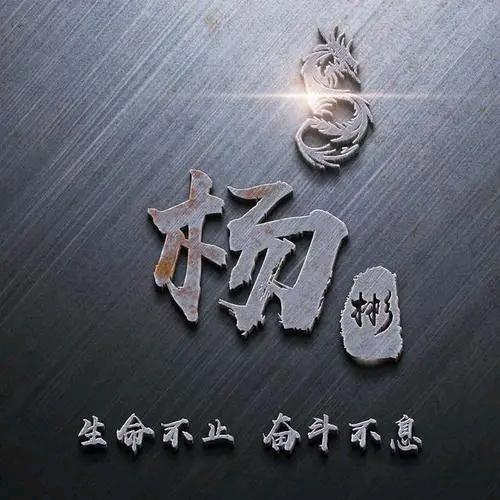 单身自由