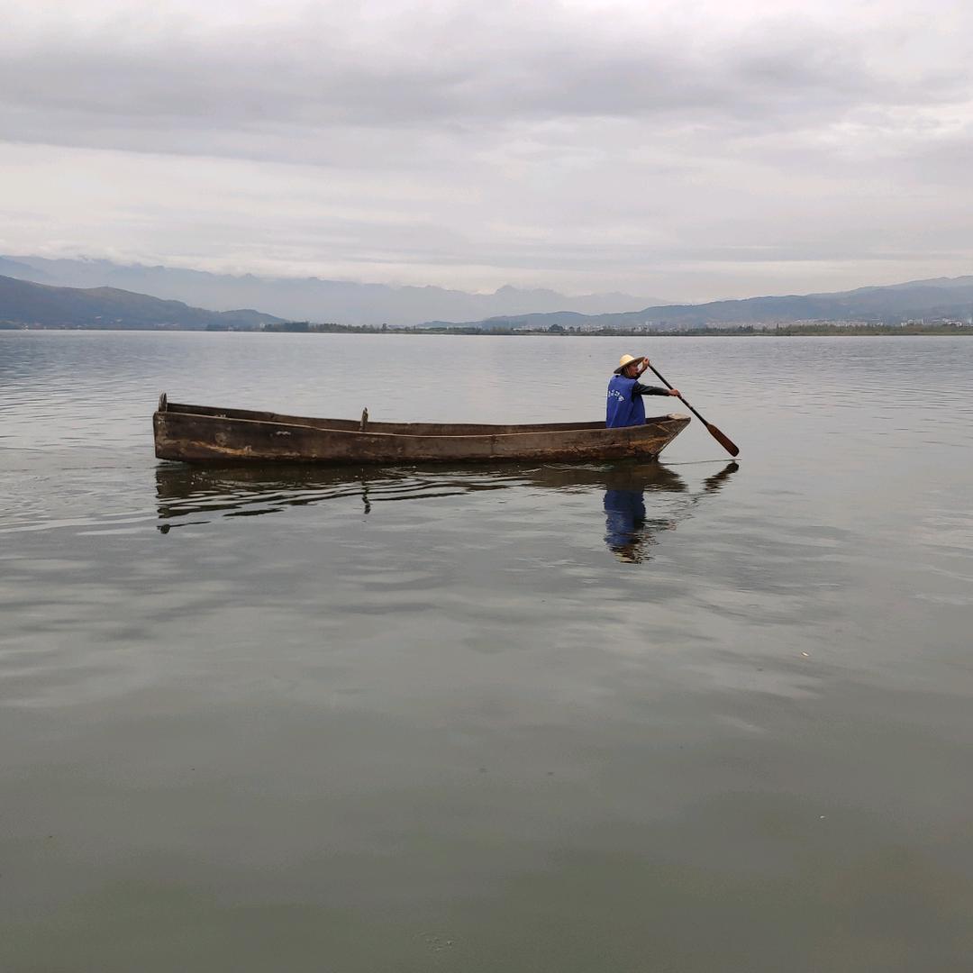 蔡东锋