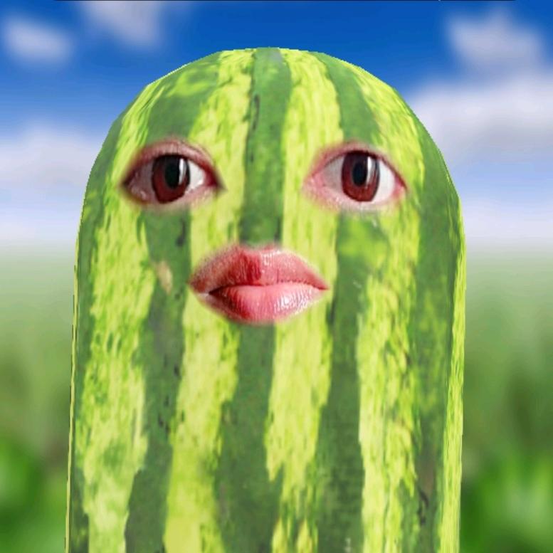 西瓜条子哥