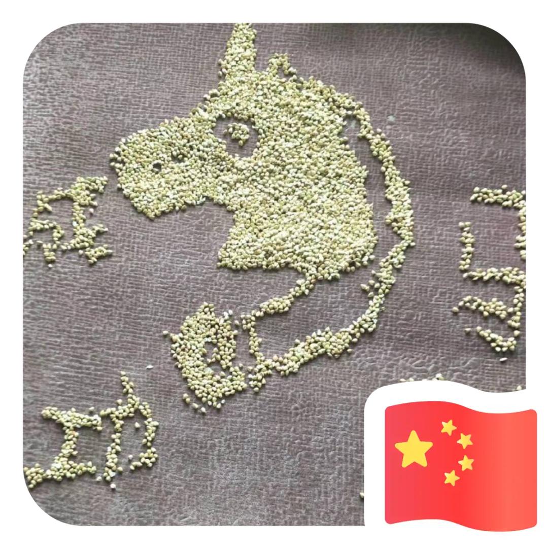 安亿