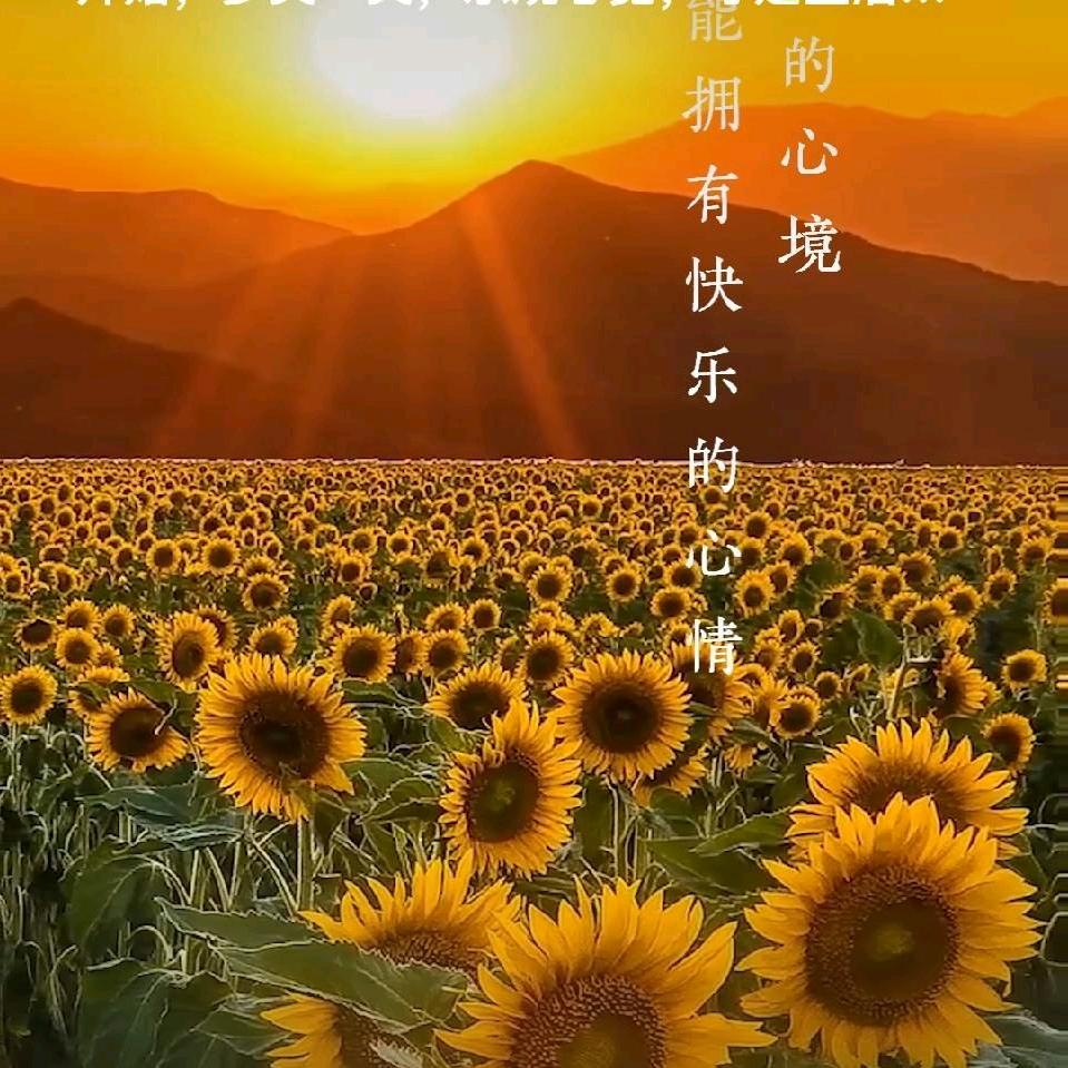 恩泽装造