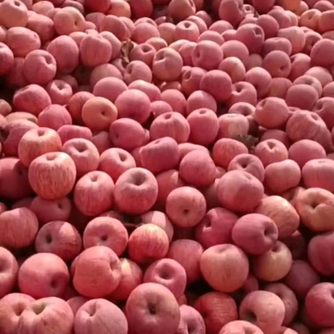 吉县平果代收代发