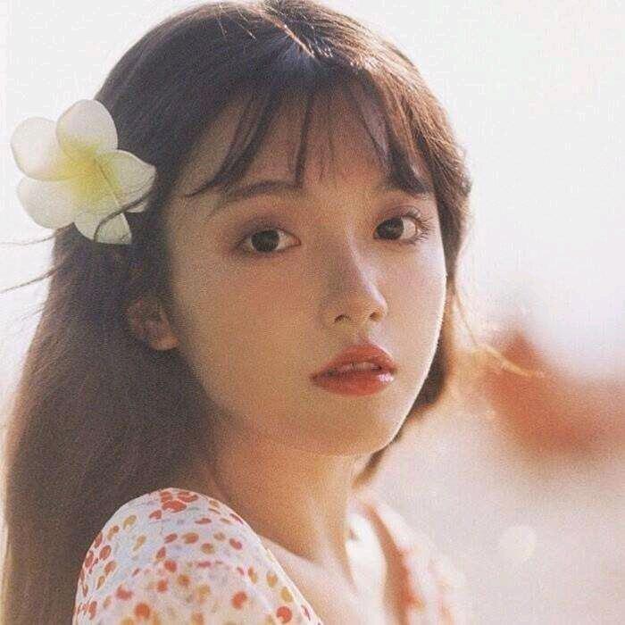 春天的花朵，