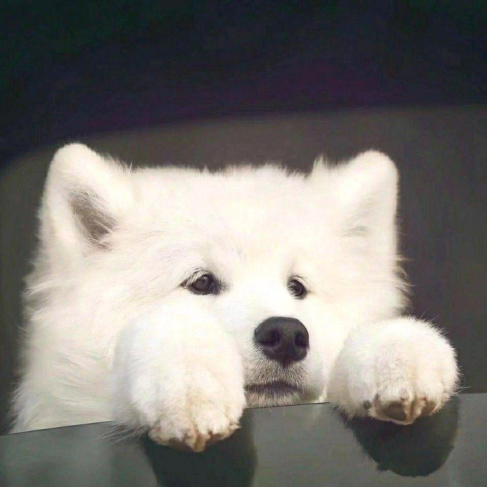 。。。。。