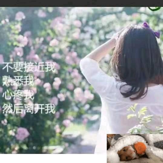张燕~