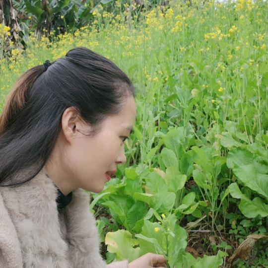 过期的旋律