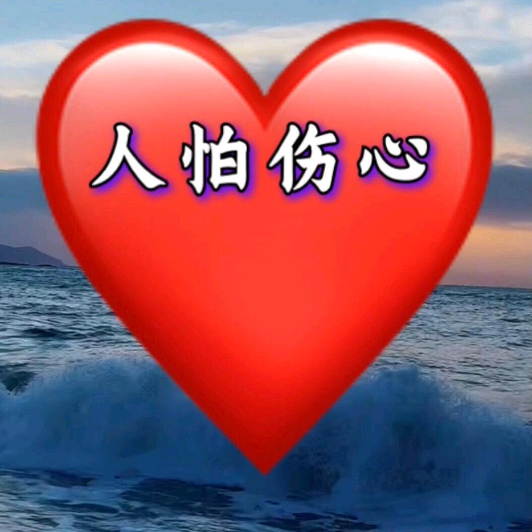来去匆匆