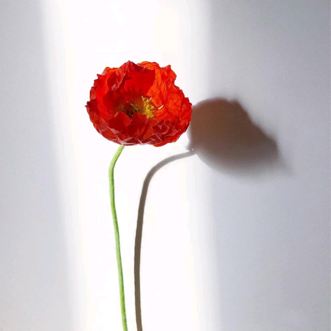 周小姐 SGSO神钢赛欧