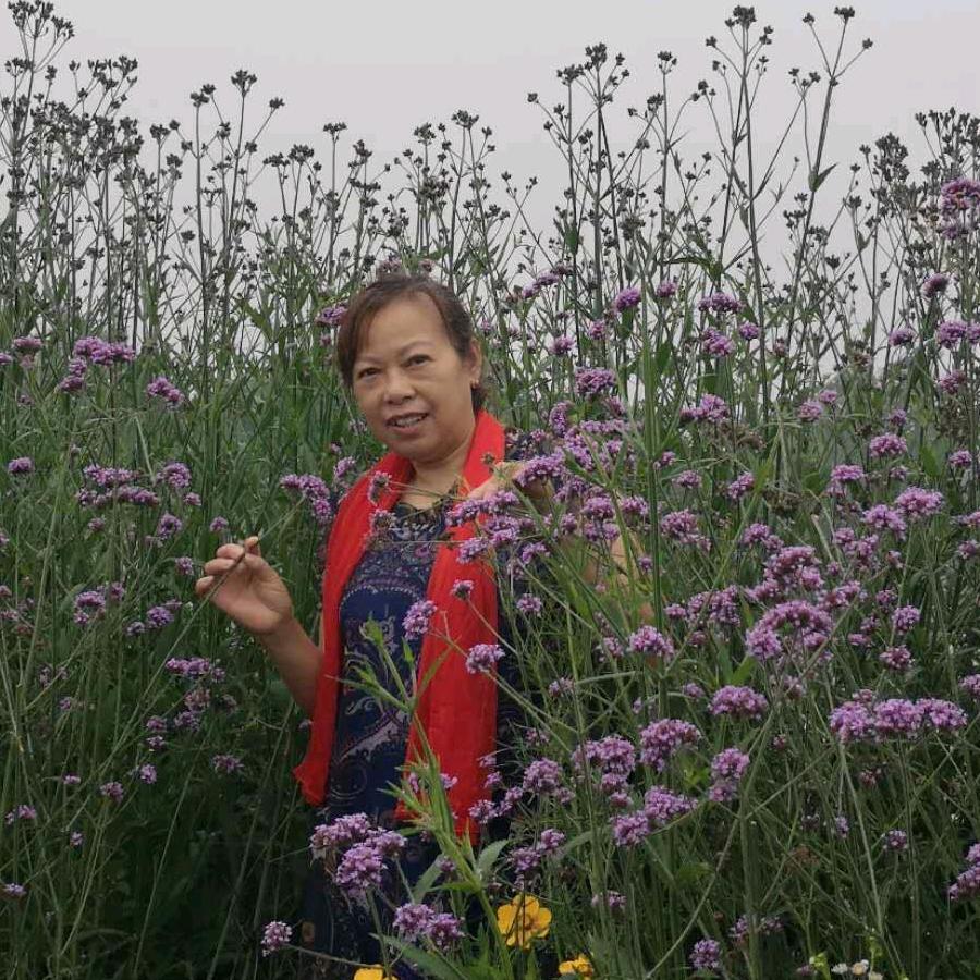 三嫂子