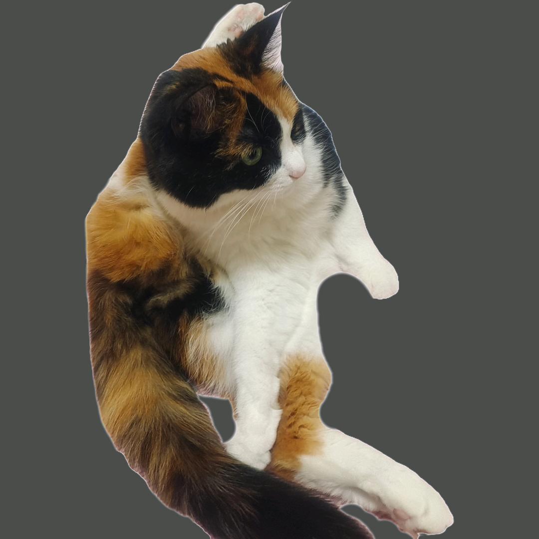 童话只是童年的笑话