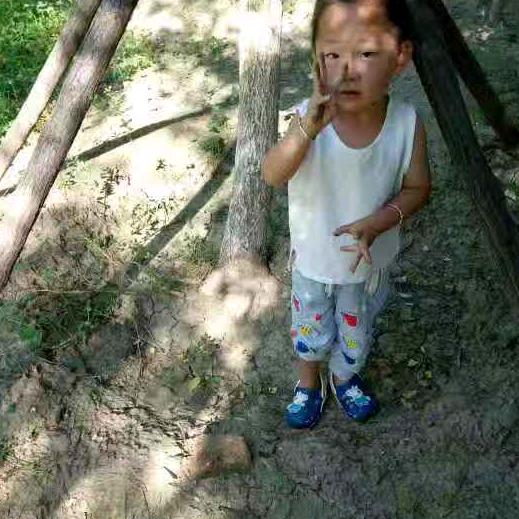 云中雾