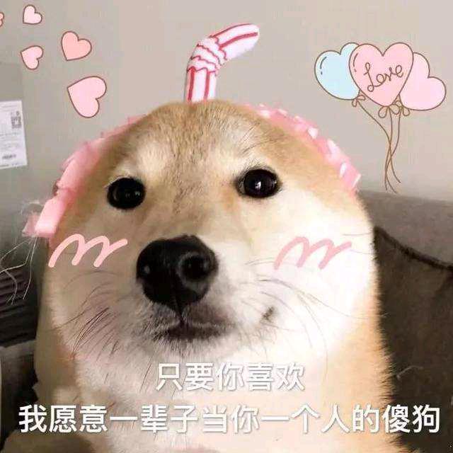 丁，姐姐