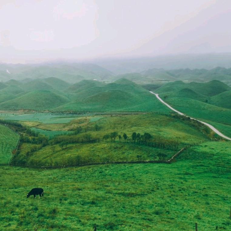 子默鸿