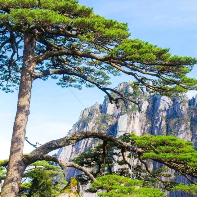 都安百旺