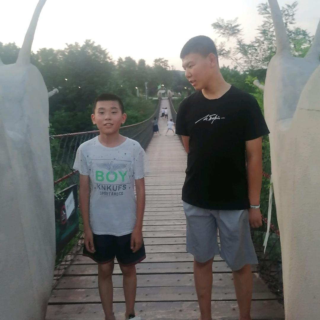 龙的传人