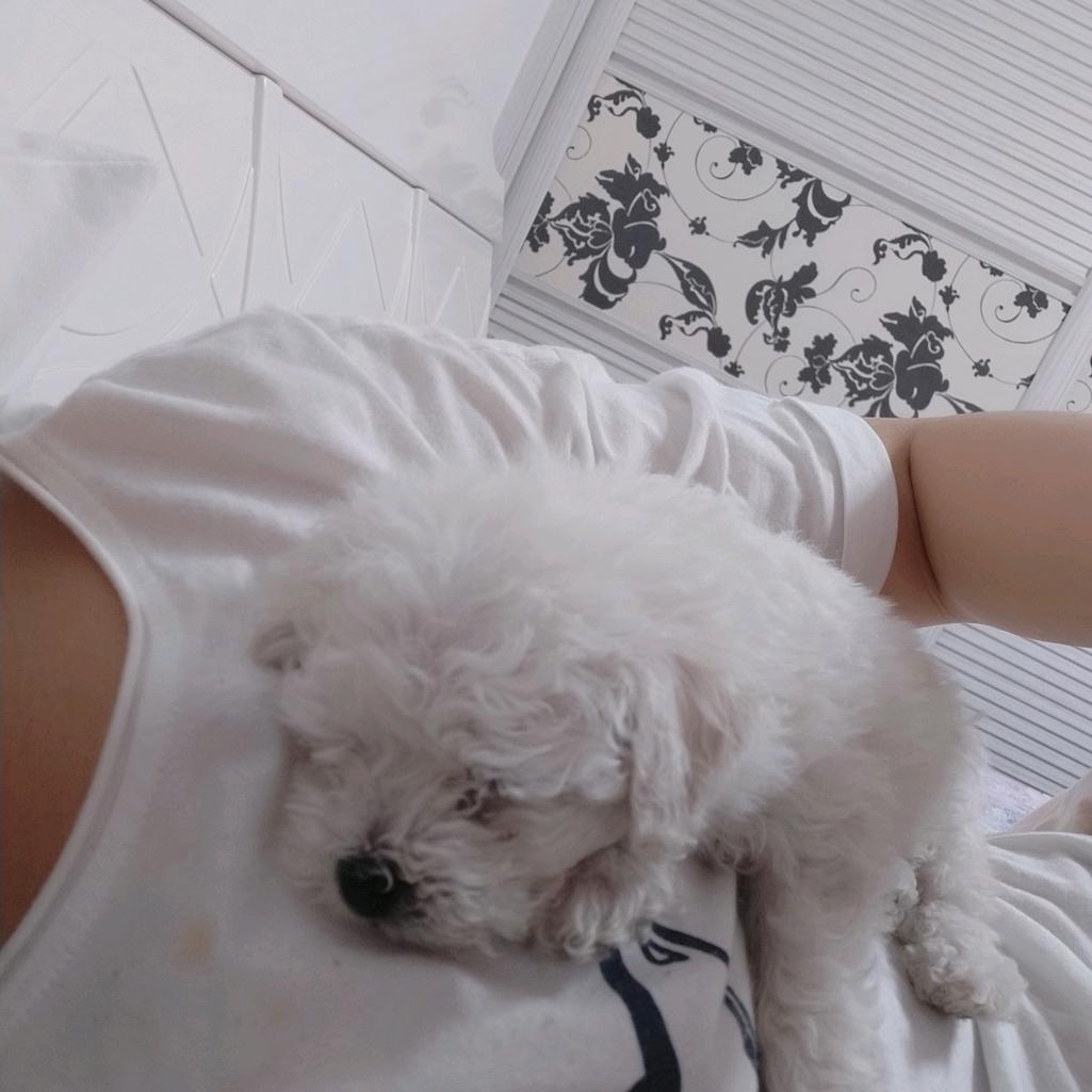 没什么就记录皮球吧