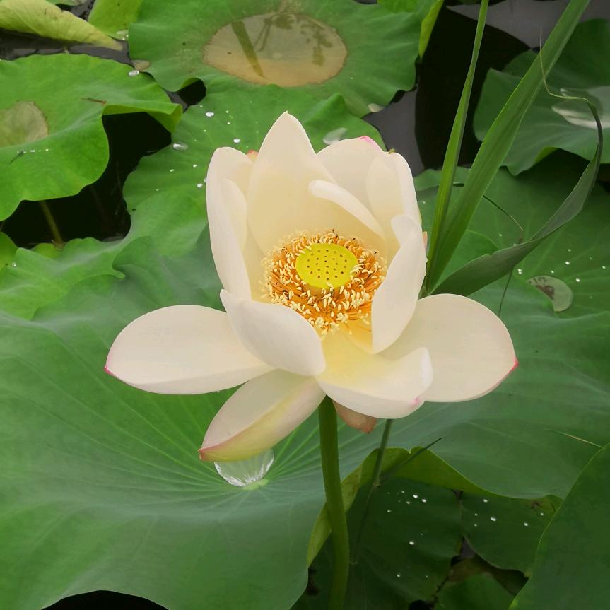 明耀奋斗用户574040786937