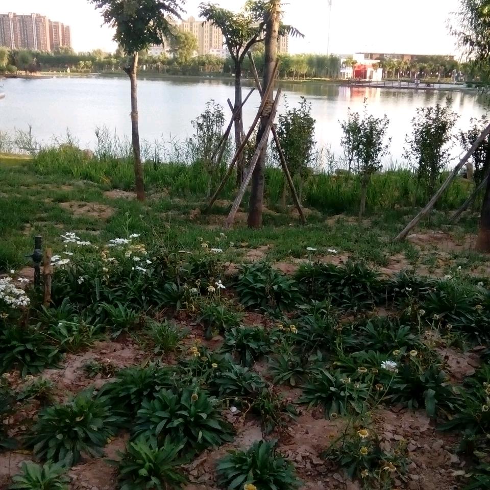 韩韩