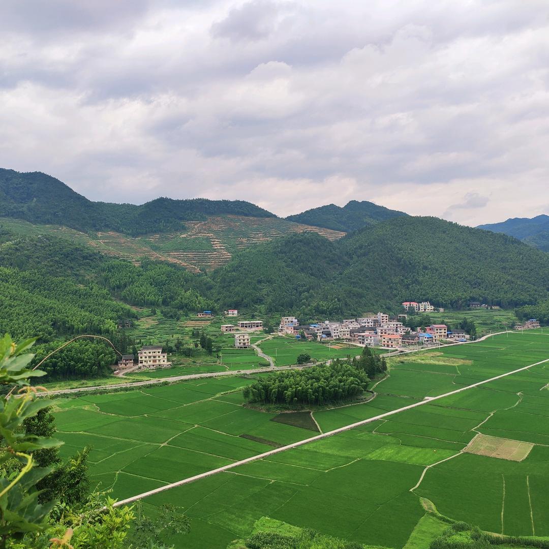 小沙江腊肉丸子黎姨