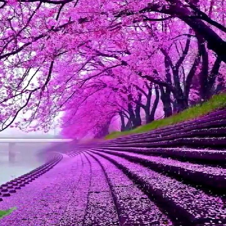 江苏滨海飞哥