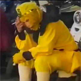 桃画源妓头像