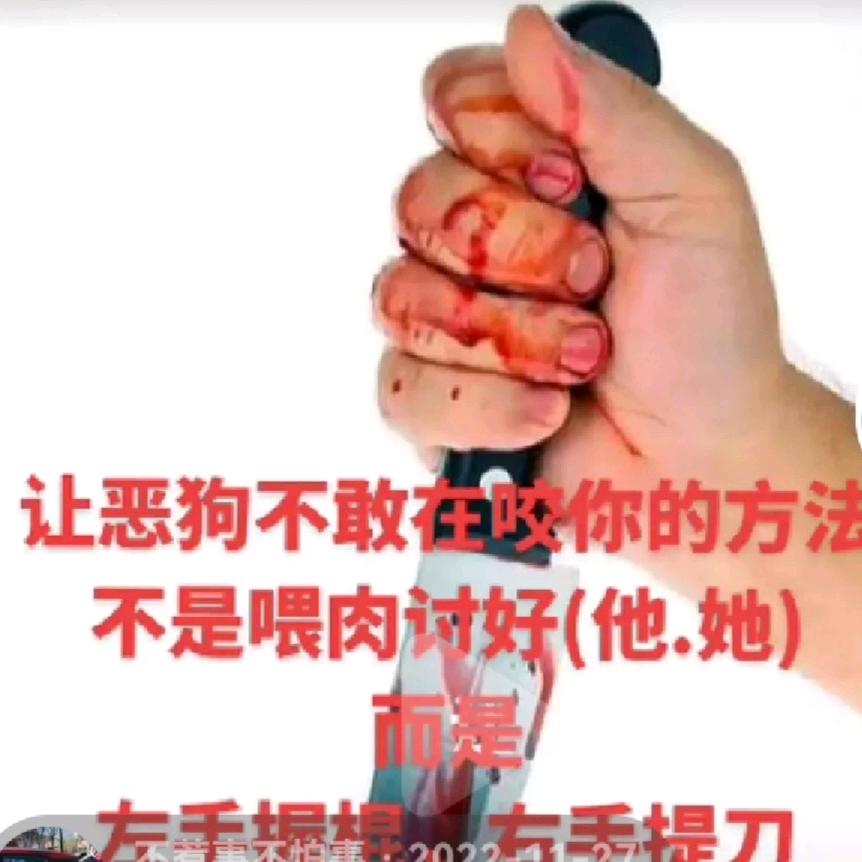 不惹 不怕