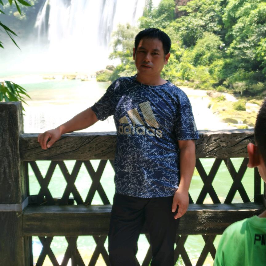 树游